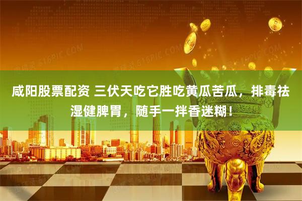 咸阳股票配资 三伏天吃它胜吃黄瓜苦瓜，排毒祛湿健脾胃，随手一拌香迷糊！