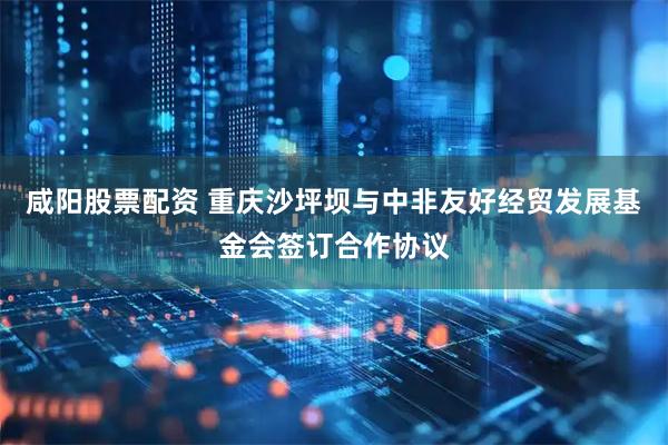 咸阳股票配资 重庆沙坪坝与中非友好经贸发展基金会签订合作协议