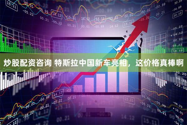 炒股配资咨询 特斯拉中国新车亮相，这价格真棒啊